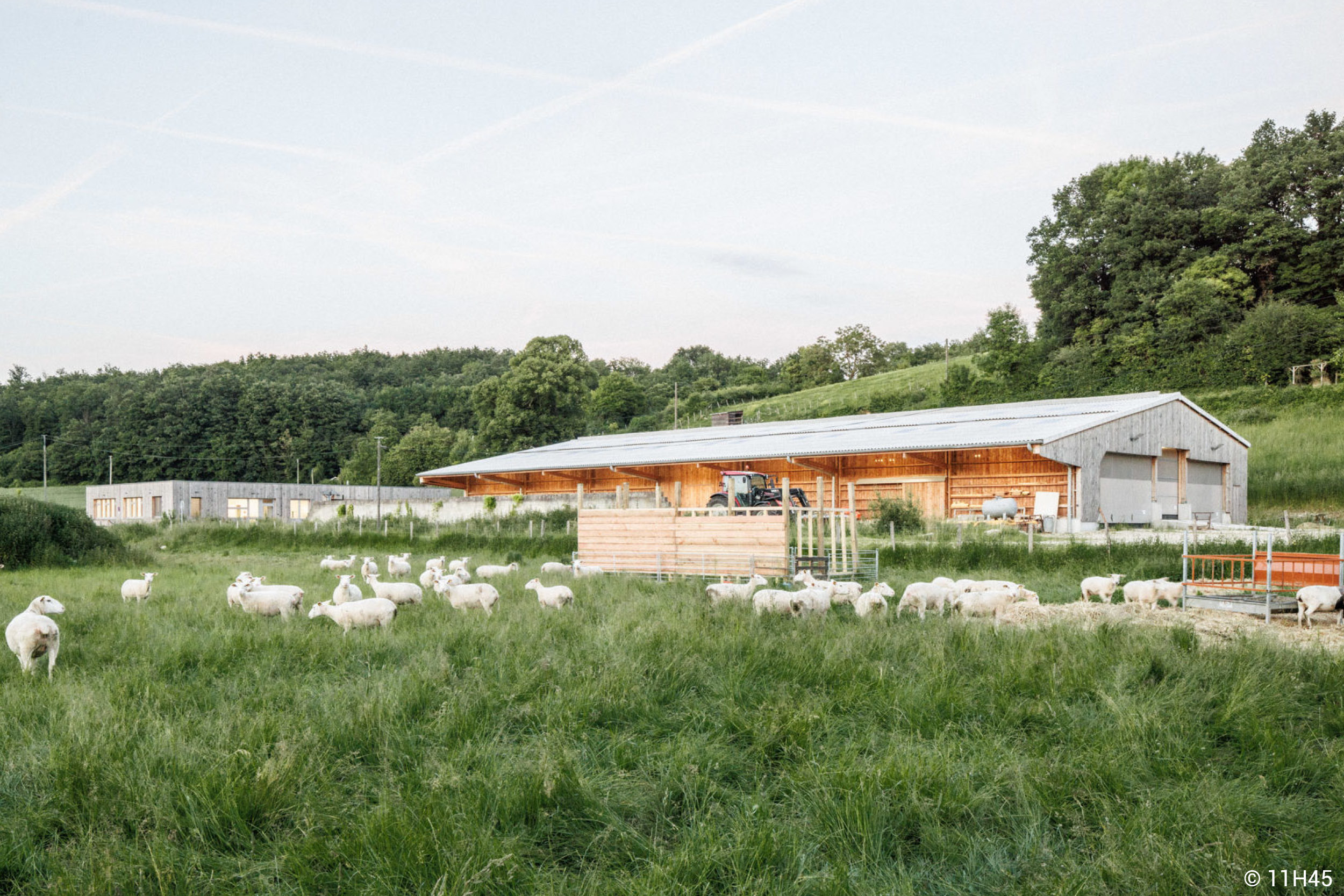 bergerie en bois confort des animaux