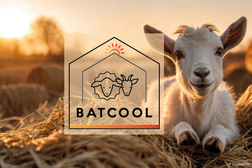 équipement photovoltaïque des bâtiments agricoles en bois
